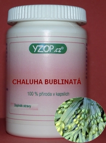 ALGAS BURBUJAS - 100 cápsulas | YZOP
