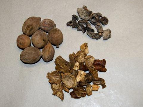 TRIPHALA preparado fuertemente desintoxicante | Centro de hierbas