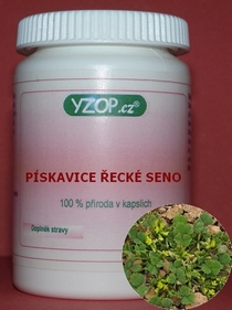 FENUGREGATO HENO GRIEGO 50 cápsulas | YZOP