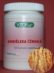 ANGÉLICA CHINA 50 cápsulas | YZOP