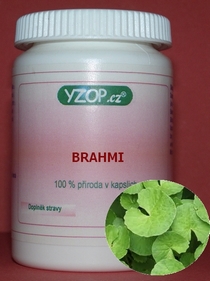 BRAHMI 50 cápsulas | YZOP