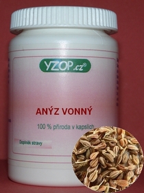 ANÍS FRAGANTE 50 cápsulas | YZOP