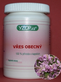 BREZO COMÚN 50 cápsulas | YZOP