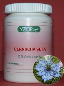 CERNUCHA SÉTA - 50 cápsulas | YZOP