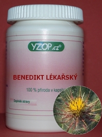 MÉDICO BENEDICTO 50 cápsulas | YZOP