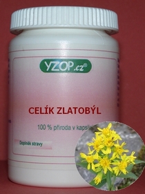 CÉLÍK ZLATOBÍL - 50 cápsulas | YZOP