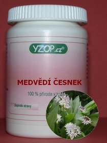 AJO DE OSO - 50 cápsulas | YZOP