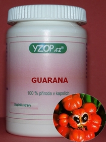 GUARANÁ - 50 cápsulas | YZOP