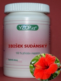 HIBISCO DE SUDÁN - 50 cápsulas | YZOP
