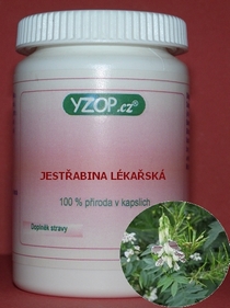 AHORCA - 50 cápsulas | YZOP