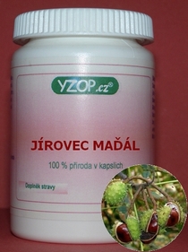 JÍROVEC MAĎAL - 50 cápsulas | YZOP