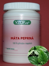 PIMIENTA MENTA 50 cápsulas | YZOP