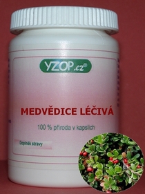 OSO MEDICINA - 50 cápsulas | YZOP