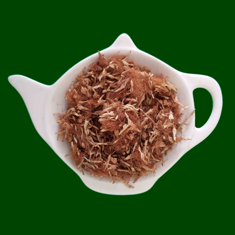 Acacia de Constantinopla Infusión suelta flor de SEDA | Centro de hierbas