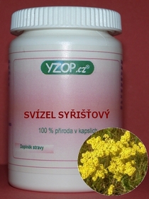 QUESO SWIZEL - 50 cápsulas | YZOP