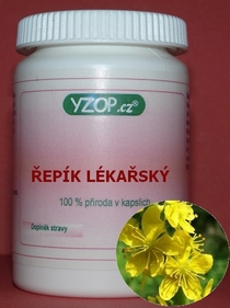 CUERDA MEDICINAL - 50 cápsulas | YZOP