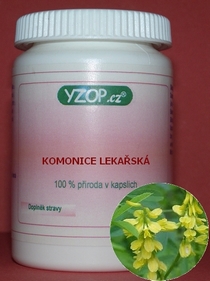 MEDICINA COMÚN - 50 cápsulas | YZOP