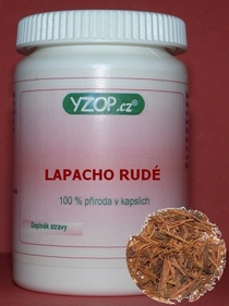 LAPACHO ROJO 50 cápsulas | YZOP