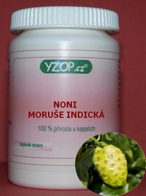 NONI 50 cápsulas | YZOP