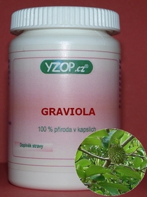 GRAVIOLA (GUANABANA) - 50 cápsulas | YZOP
