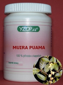 MUIRA PUAMA - 50 cápsulas | YZOP