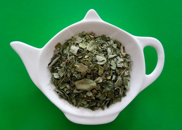 MORINGA infusión de hierbas sueltas | Centro de hierbas
