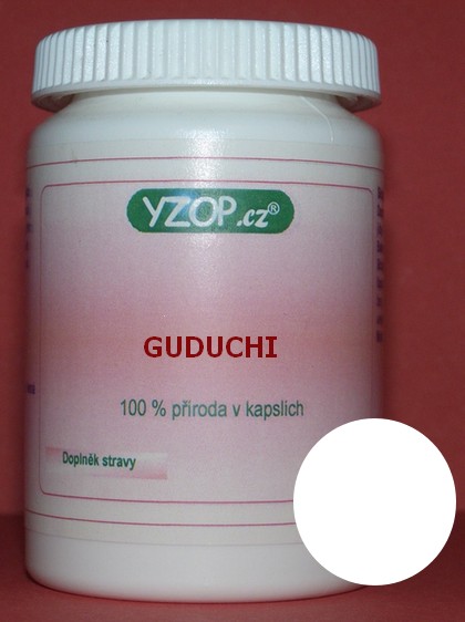 CHEBULE CORAZÓN 50 cápsulas | YZOP